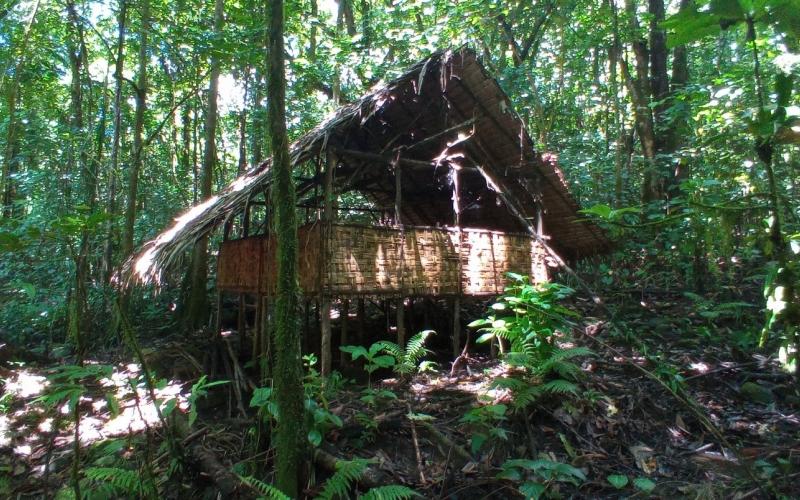 Resting house in a dense forest.