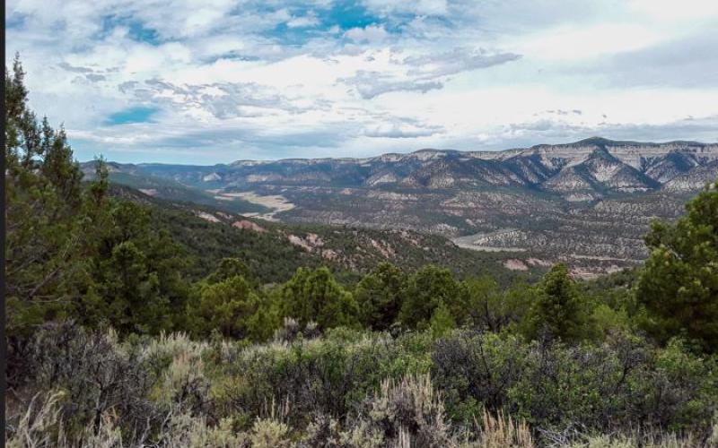 High desert landscape