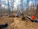 Excavator pulls up dirt in wooded area surrounded by temporary fencing. 