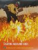 Bureau of Land Management mission-area poster entitled, "Fighting Wildland Fires" depicting a man in full gear battling a blaze on the ground.