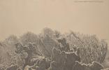 Biscayne National Park by Murray Tinkelman (1933-2016), 1975