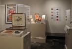 Vitrines of objects, wall graphics, and interpretive panels in the "DOI Pop!" exhibition.