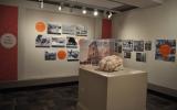 View of the "DOI Pop!" exhibition gallery and the section about the Department of the Interior in film.
