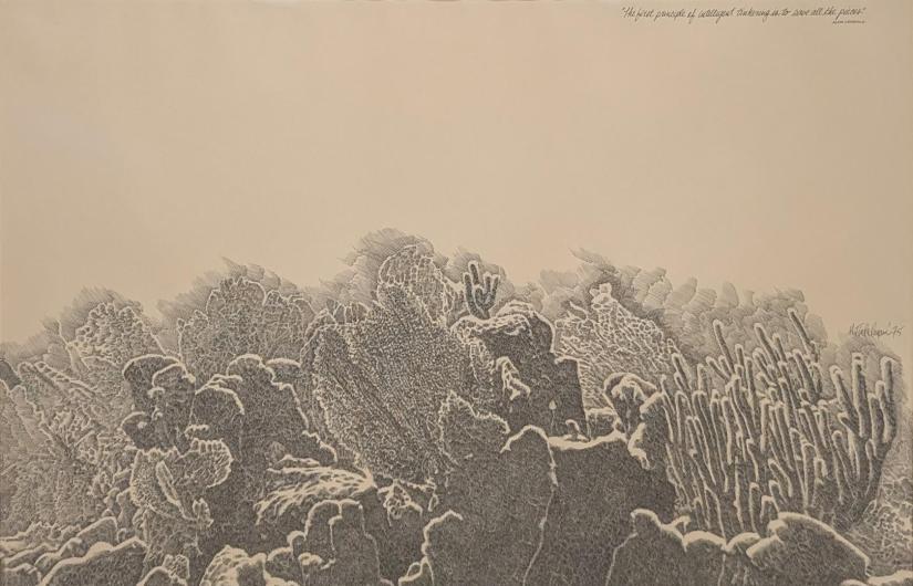 Biscayne National Park by Murray Tinkelman (1933-2016), 1975