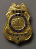 Gold plated law enforcement badge with bison seal surmounted by an eagle with outstretched wings
