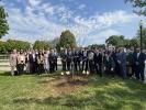 Large group of people, some holding shovels, standing in front of a freshly planted tree. 
