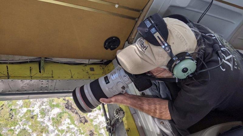 Biologist kneels at opening in plane floor taking pictures of nesting birds
