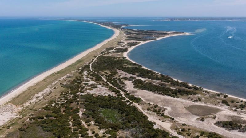 Aerial view of sandy shoreline.