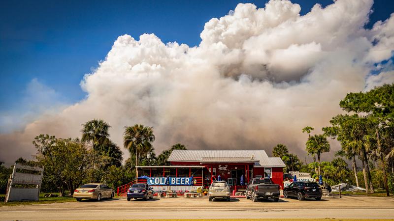 A small, vibrant red building advertises cold beer with a large blue banner. Cars fill most of the parking spaces in a row out front. Green palm trees and deciduous trees grow on either side of the building. A sign weathered past readability stands next to the parking lot. A short ways beyond the building, a large plume of wildfire smoke fills the otherwise blue sky. 