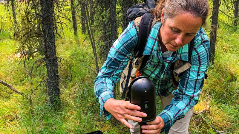 A woman crouches in yellow-green grass and manipulates a sleek, black, knee-high devise with a cylindrical top with several indicator lights that sits on a pole. The corner of a black case is visible on the ground beside her. Directly behind her are a cluster of trees with tangled branches. Beyond the trees, parked vehicles are just visible.