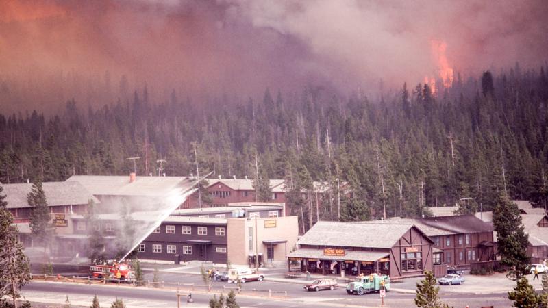 In a photo faintly tinted with age, a row of buildings and a wide street are clustered together amid a dense forest. A fire engine is spraying water over one building. A second engine dotted with firefighters is parked nearby. Dense smoke obscures the distance, and towering orange flames rise from a handful of trees.