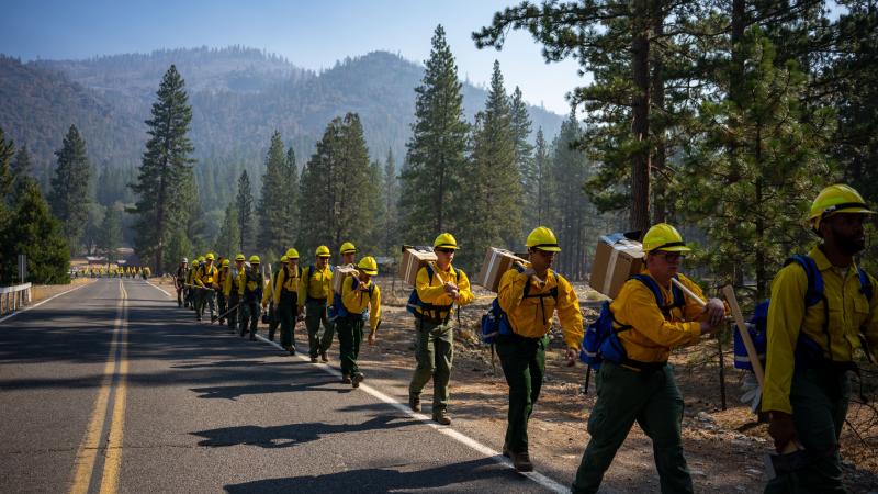 People in yellow and green wildland fire outfits stride along the side of a road single file, each carrying a box strapped to a pole over one shoulder and wearing blue low-slung packs on their backs. Tall evergreen trees line the road, and mountain peaks rise in the background. By Joe Bradshaw, Bureau of Land Management.