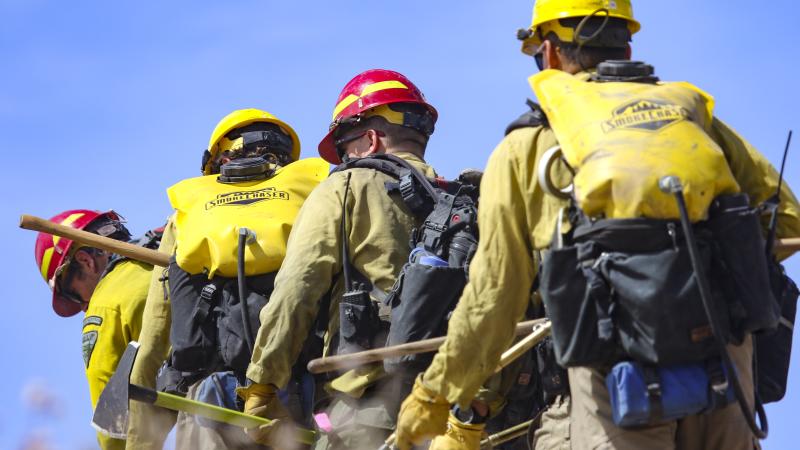 Four wildland firefighters wearing packs and carrying hand tools hike away from the camera under a clear blue sky with the tips of dry grass just visible in the foreground.