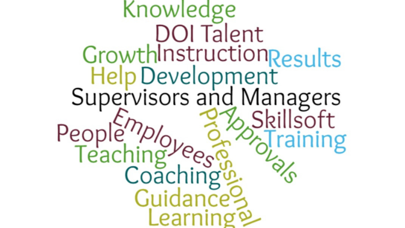 Image of Managers and Supervisors word cloud with various words in different colors