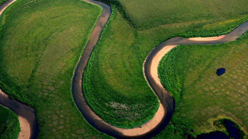 Aerial view of a winding river surrounded by green vegetation - Alaska.