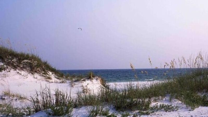 Dunes and dune vegetation at Santa Rosa Island Beach