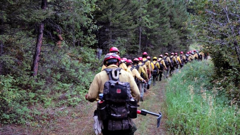 The Devil's Canyon Veterans Crew walks in a line carrying tools on a wildfire. 