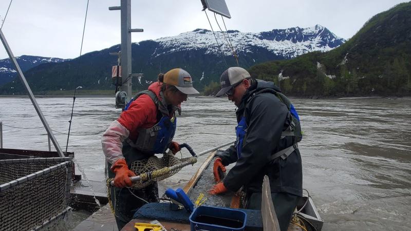 Matt Piche, Fish Biologist with the Native Village of Eyak