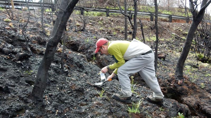 A man holds tools as he collects scientific samples in a burned area.