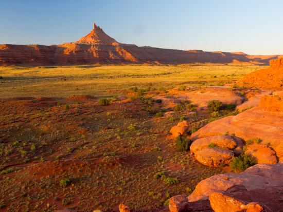 A broad valley rimmed with sandstone cliffs within Indian Creek canyon.