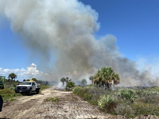 Smoke rises from a fire burning in a coastal scrub landscape