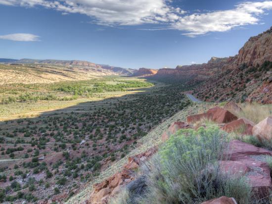 Backdrop of deep sandstone canyons, desert mesas, and forested highlands at Bears Ears National Monument - Comb Wash Recreation Site Area.
