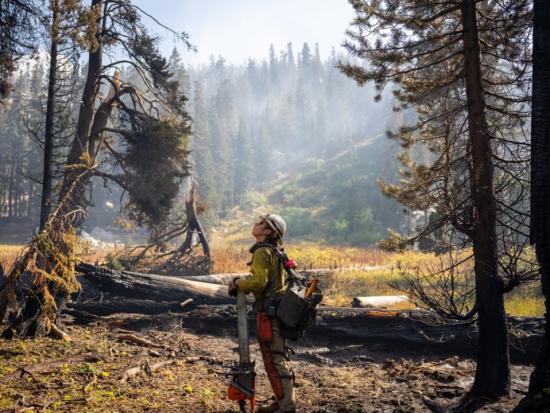 Aravaipa Veterans Interagency Hotshot Crew member contemplates a partially burned forest during the 2021 Caldor Fire. Photo by Joe Bradshaw, BLM.