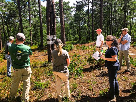 A duff workshop offered by the Southern Fire Exchange in 2019. Photo by David Godwin, the Southern Fire Exchange.