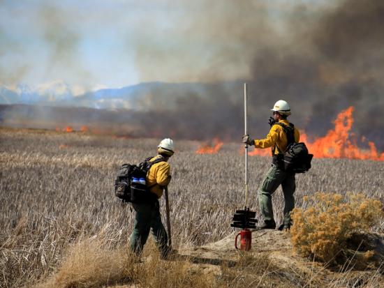 Two wildland firefighters from the Snake River Hotshots Crew stand on a small rise overlooking flames burning in tall, dried grass. Black smoke rises from the flames. The fire and smoke fade to the left, and snow-covered peaks are visible in the distance.
