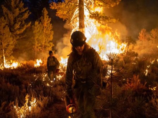 Wildland firefighters with drip torches. 