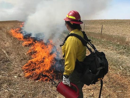 Saydee Marie Fujioka is shown wearing wildland firefighter gear, holding a drip torch used to carefully implement fire on a prescribed burn. 