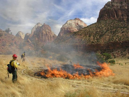 Firefighters holding hoses surround and keep watch on a small fire burning through dried grass in a desert canyon