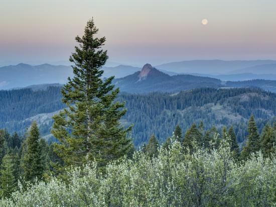 Several tree-covered mountain sets stretch off into the distance with a moon hanging overhead in the pink and orange sky