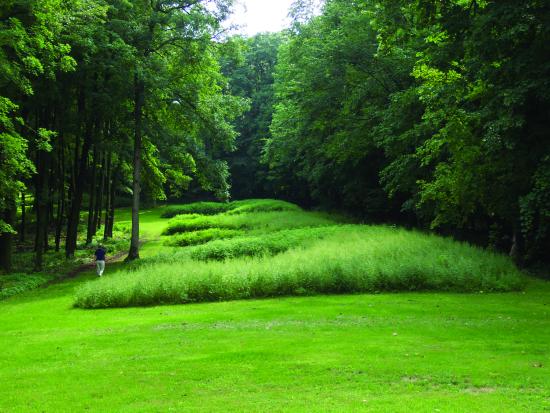 Several large grassy mounds stand in a grassy field bordered by trees.