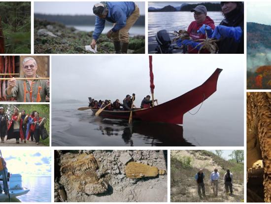 Collage of 11 images pertaining to the 11 students film shorts