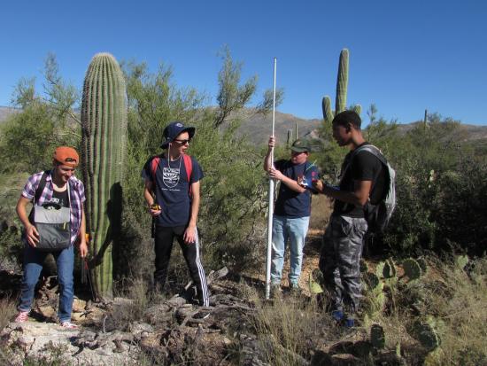 Empire students survey saguaros