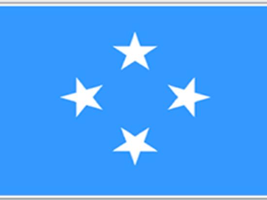 FSM Flag logo