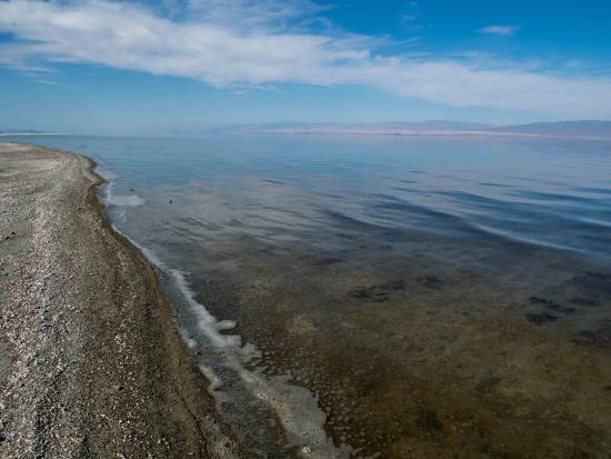 Sandy beach and body of water reflecting blue cloudy sky. 