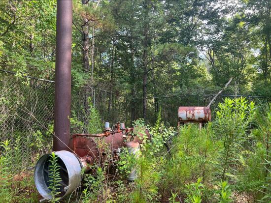 Orphaned well in overgrown woods
