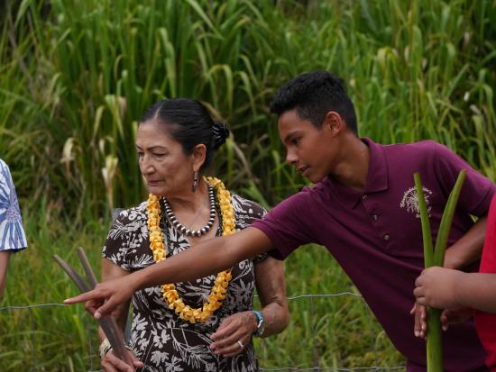 Secretary and young person pointing at plant in grassy area. 