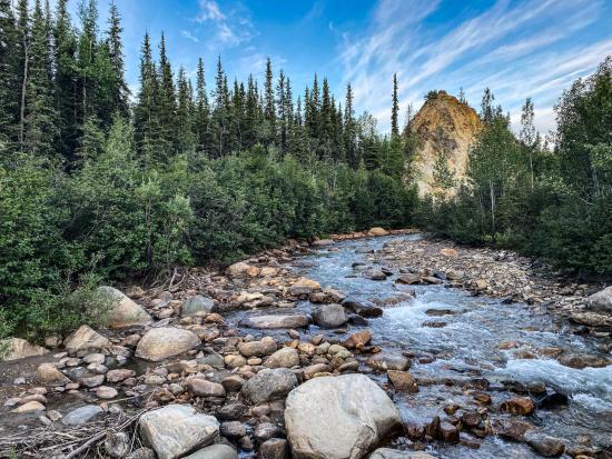 Denali National Park