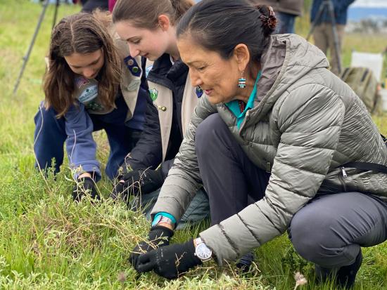 Secretary Haaland and two others pull weeds from ground.