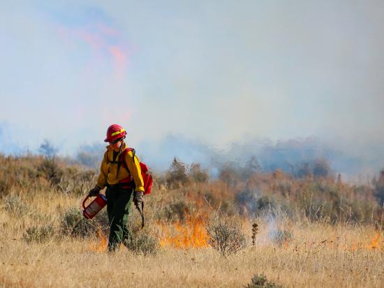 A female wildland firefighter carries a drip torch in a rangeland environment. She is laying fire on the ground and you can see fire and smoke in the background. 