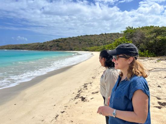 Laura Daniel Davis standing on a beach looking towards ocean.