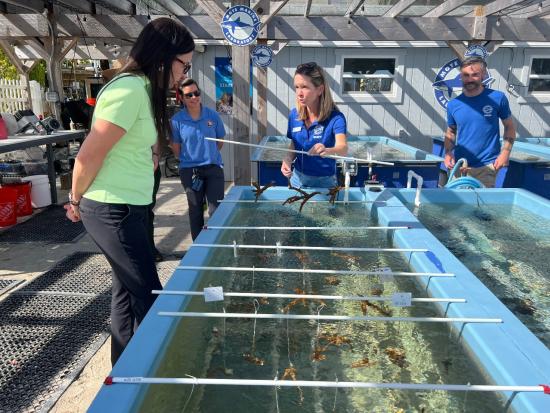 Assistant Secretary Estenoz visited the Mote Marine Lab at Key Largo.