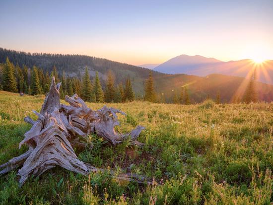 Sunrise over grassy mountain ridge. 