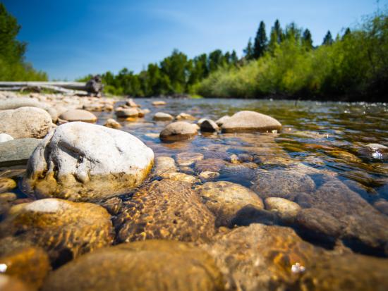 Large boulders and rocks in river. 