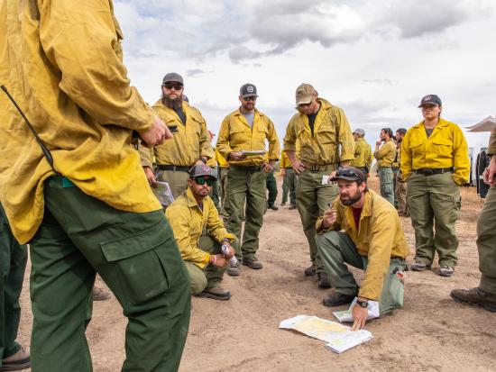 Wildfire crew standing around in a circle discussing plans. 