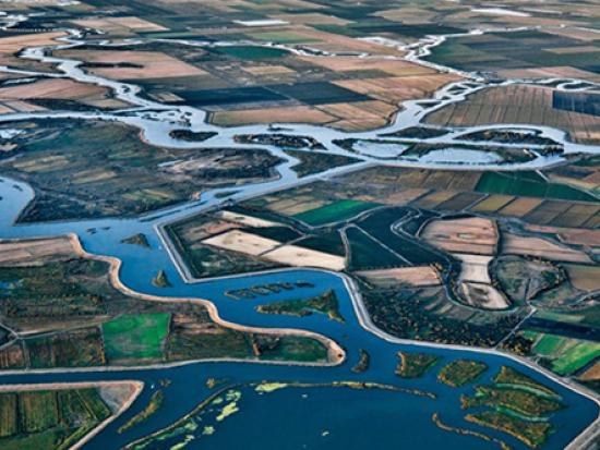 Aerial view of river delta area. 