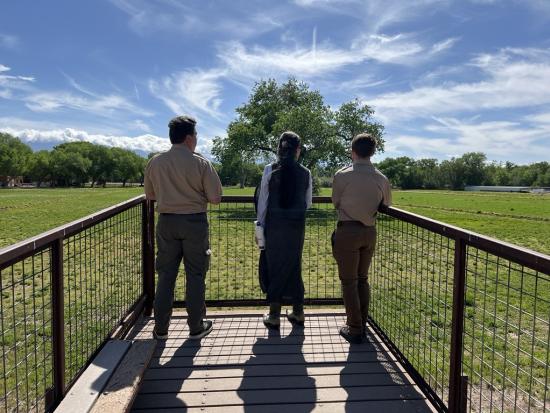 Secretary Haaland and two men standing on a wooden platform looking out towards grassy area